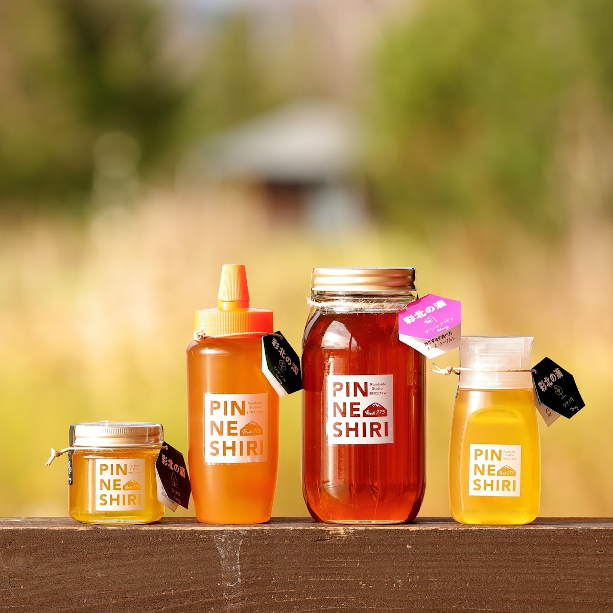 道の駅ピンネシリ