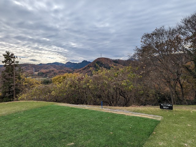 Fujioka Golf Club - Photo 8