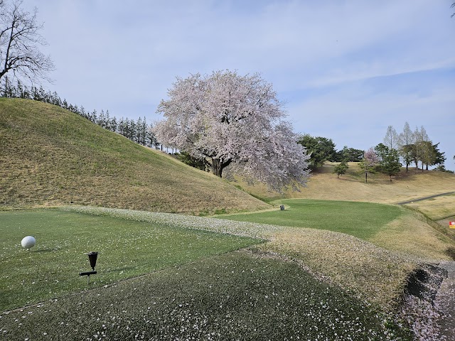 Fujioka Golf Club - Photo 9
