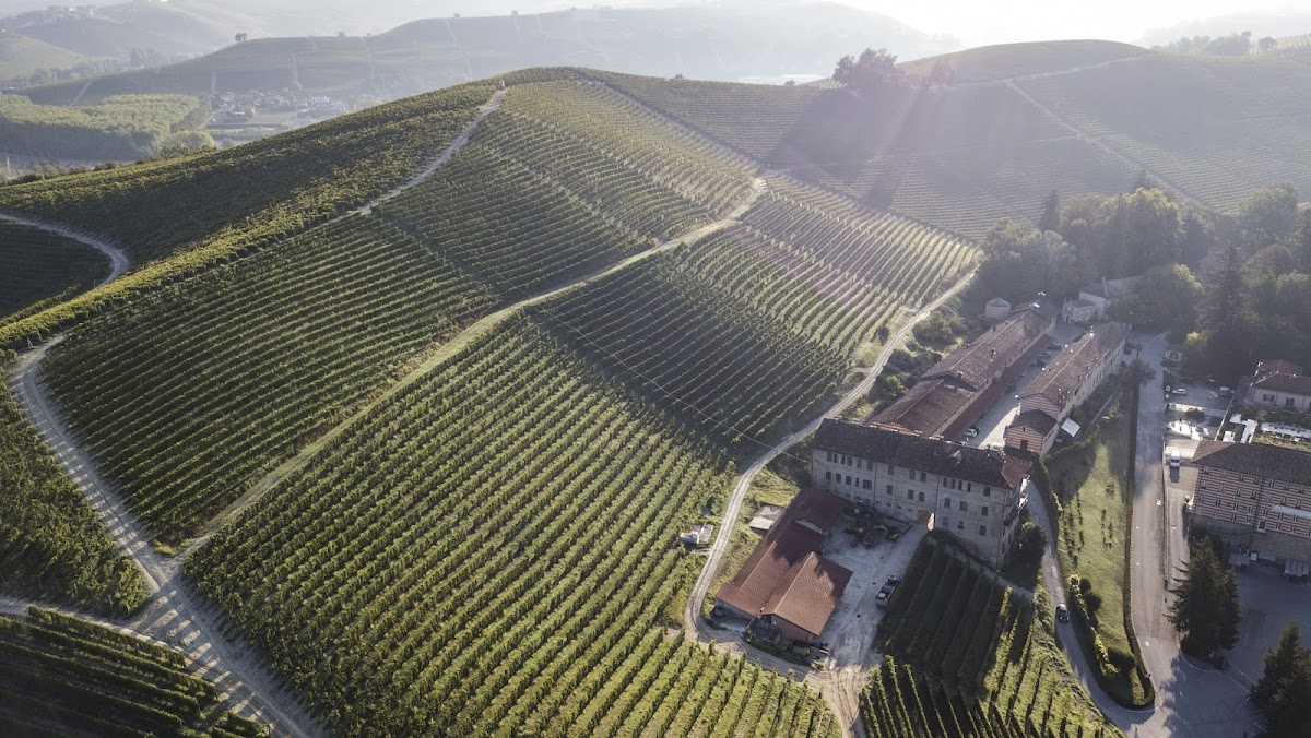 Cantine Fontanafredda