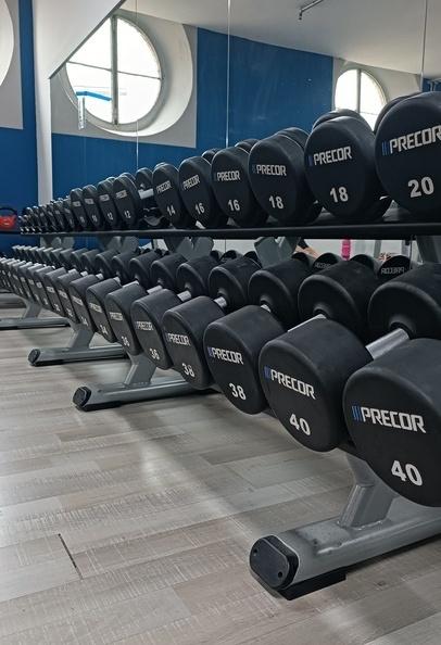 Gym shadow pavia