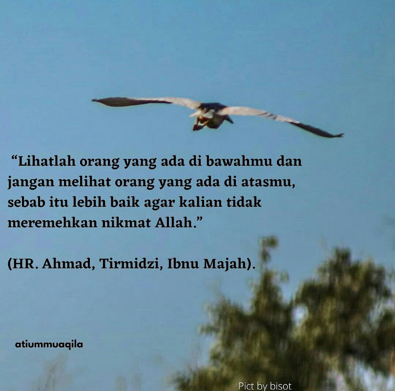 Kontrakan Ummi Yarni