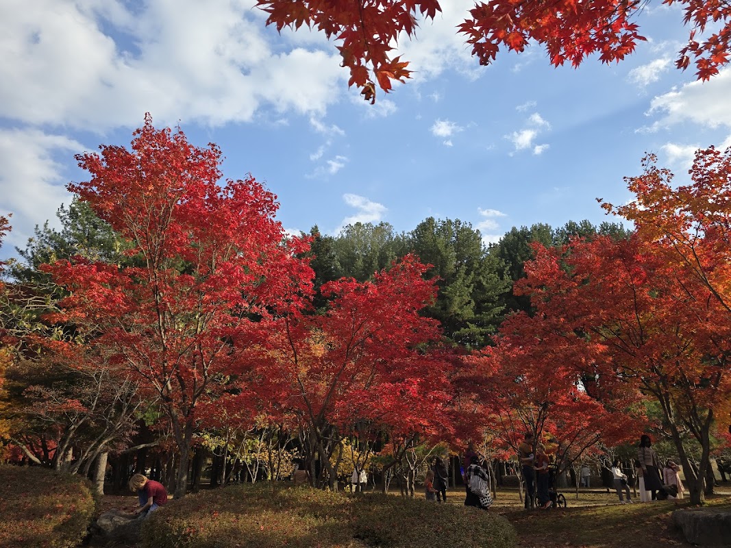 Nami Island