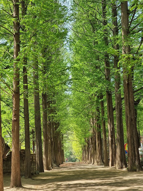 Nami Island