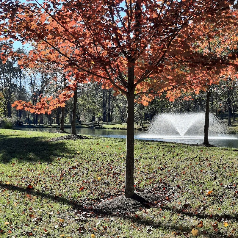 A.B. Sawyer Park photo 3