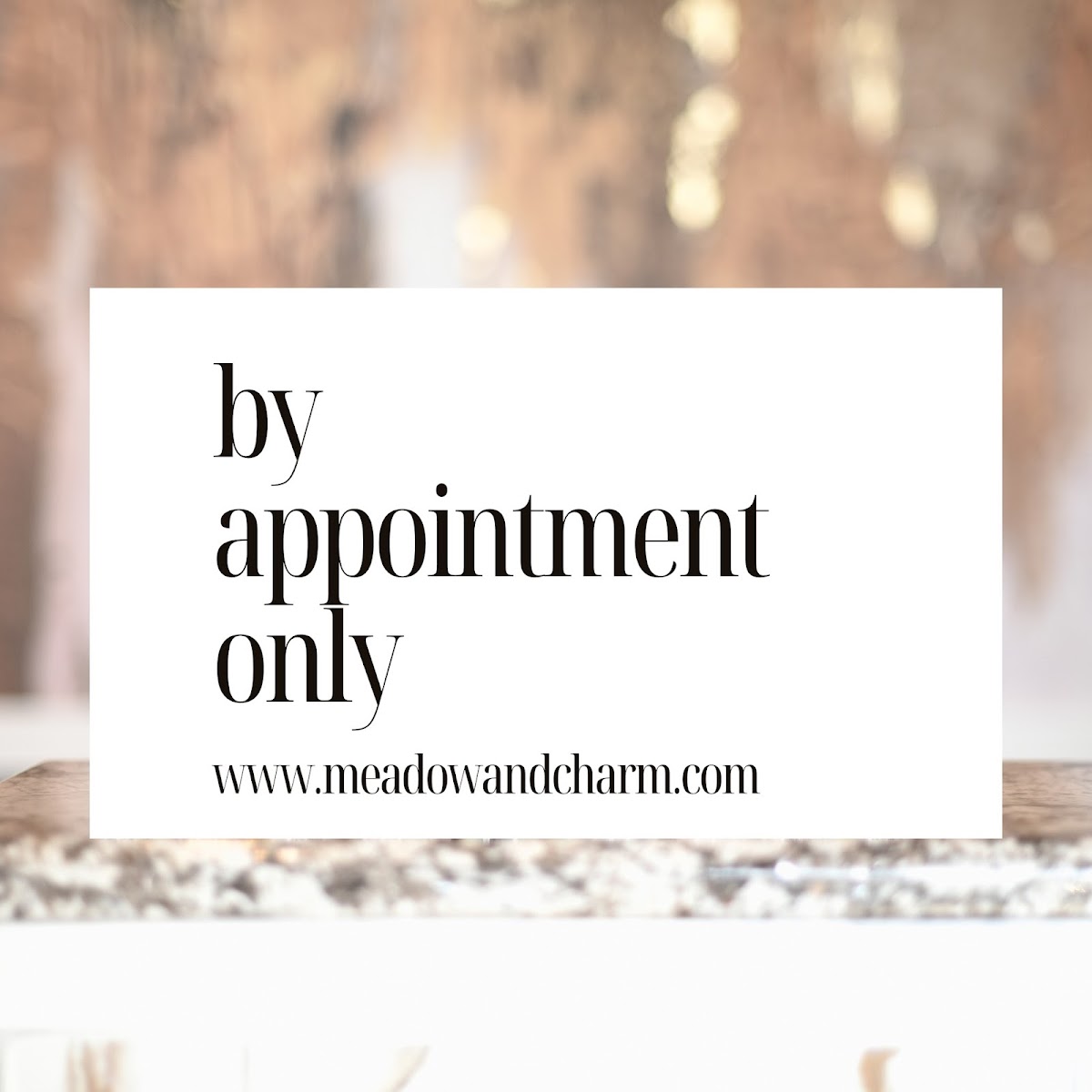 Meadow and Charm tattoo parlor in Council Bluffs, NE