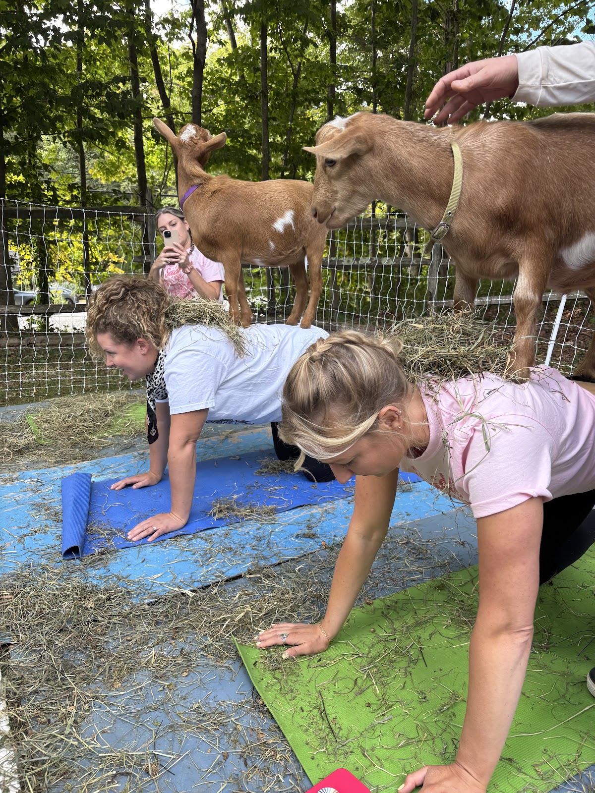 Woodstock Goat Yoga — 3
