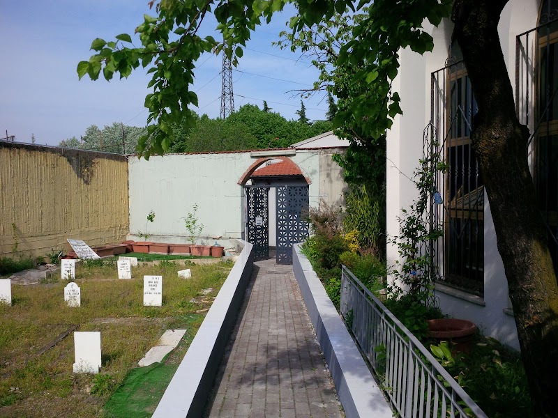 Mosque of the Merciful photo 5