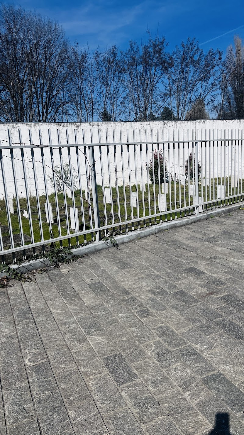 Mosque of the Merciful photo 6