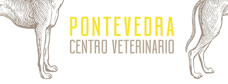 Centro Veterinario Pontevedra photo 5