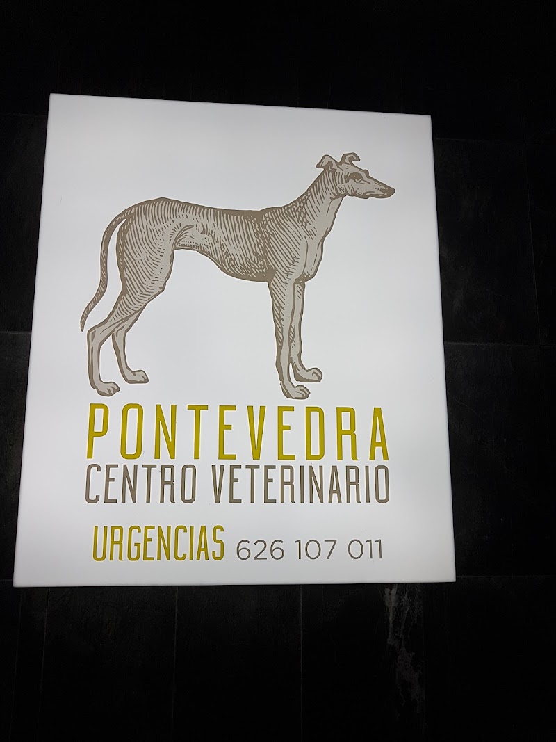 Centro Veterinario Pontevedra photo 3