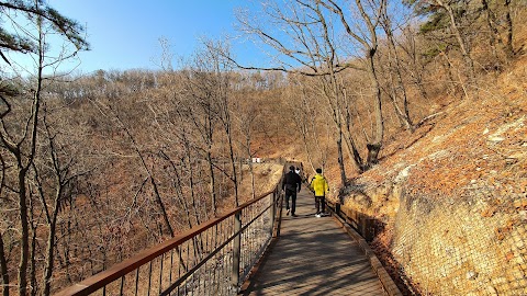 만수산 사진 7