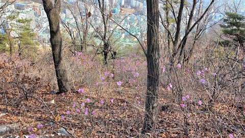 만수산 사진 3