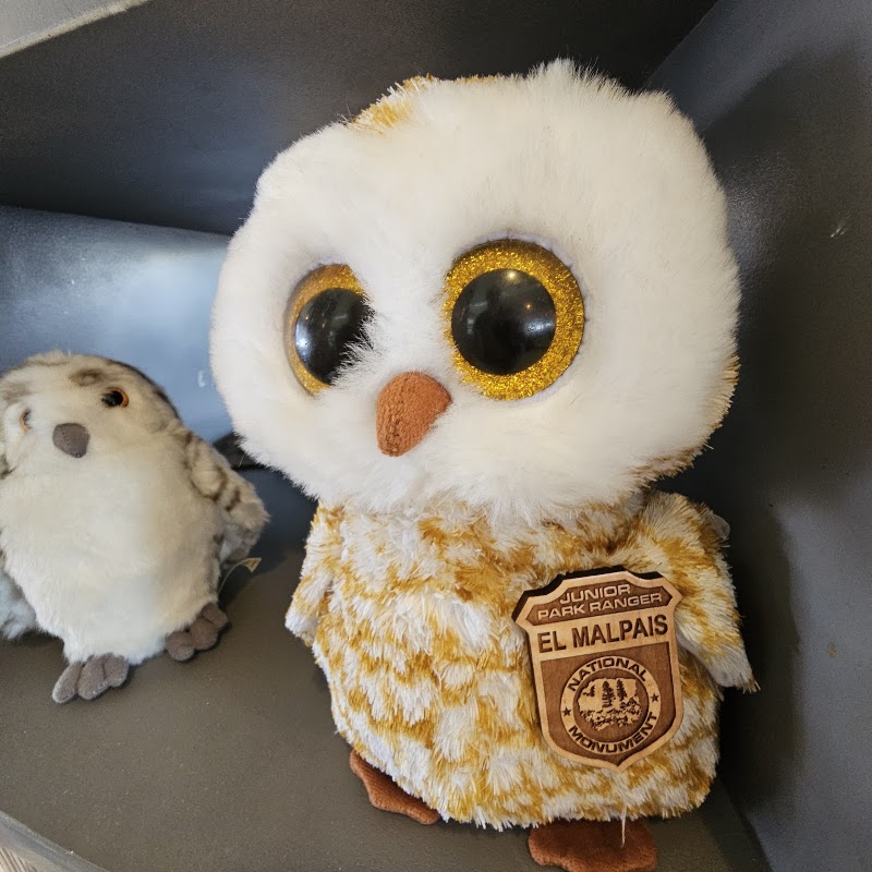 Owl Cafe photo 3