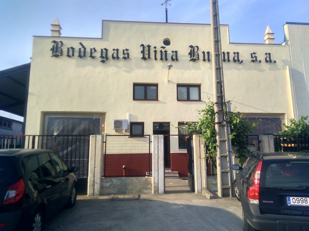 Viña Buena - Ribera del Duero