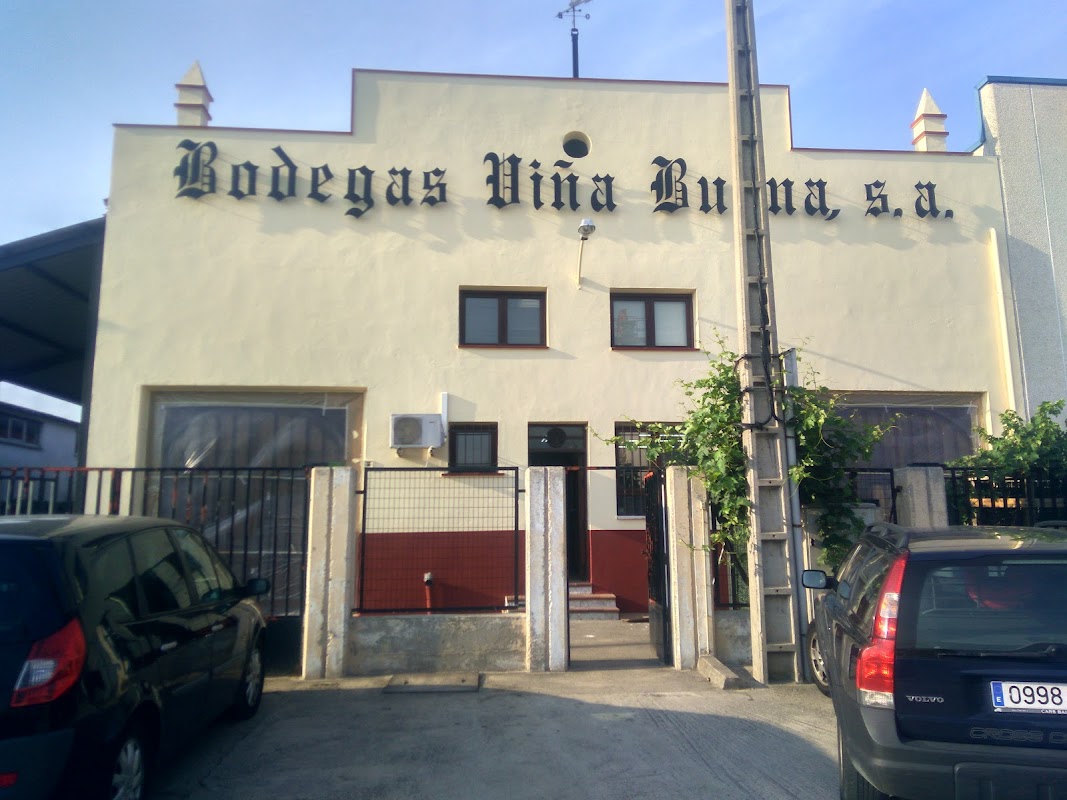 Viña Buena - Ribera del Duero