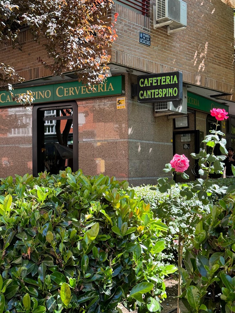 Cafetería Cantespino
