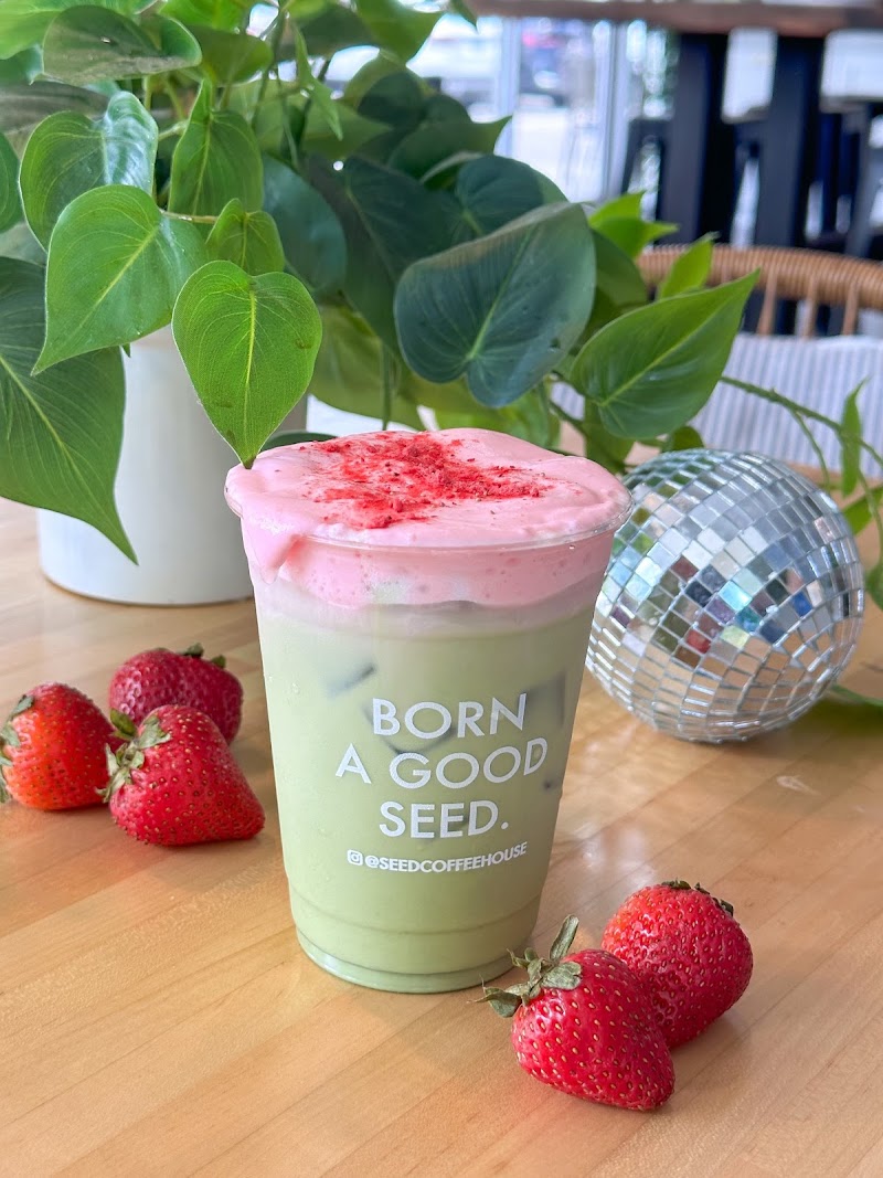 the seed. Coffee + Juice Bar photo 3