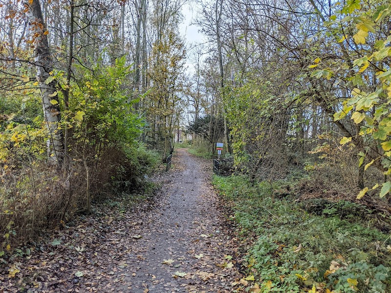 Rhijngeest