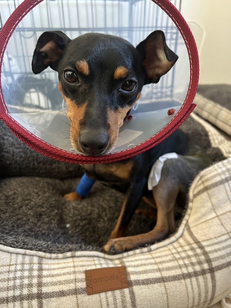 Centro Clínico Veterinario de Zaragoza