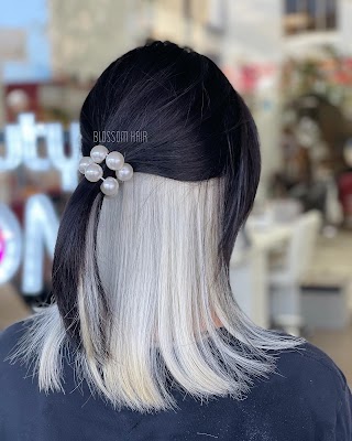 Blossom Hair & Beauty photo 2