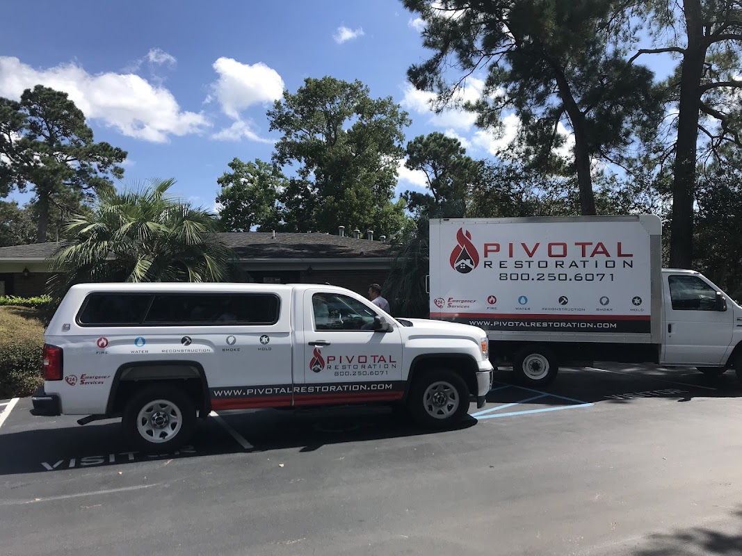 Pivotal — photo