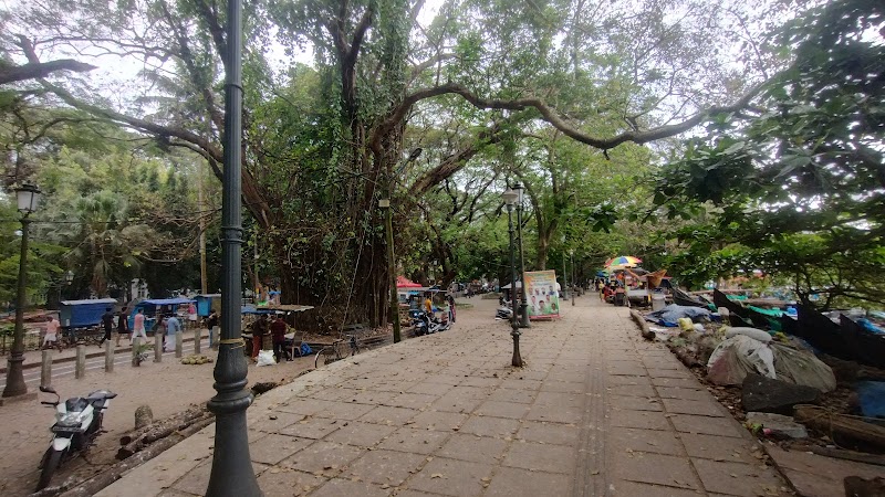 Васко Дгама сквер