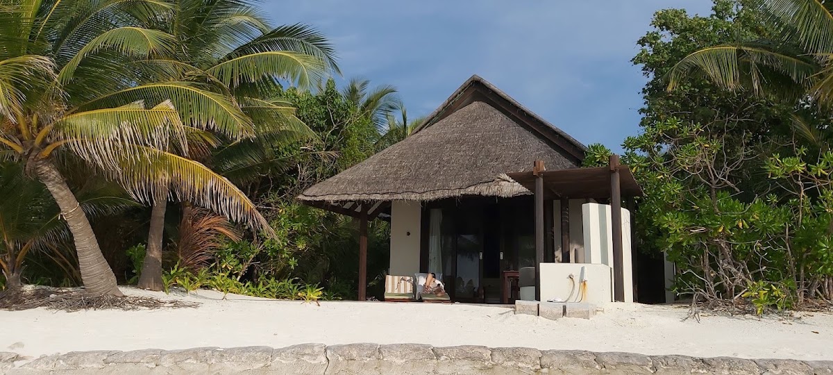 Thatched-roof bungalow with white walls nestled among palm trees on a white sand beach at Coco Bodu Hithi.