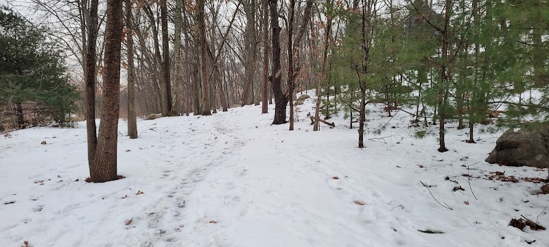Scouting Woods Disc Golf Course photo 4
