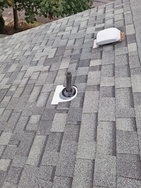 Sunnyside Roofing Services LLC photo 2