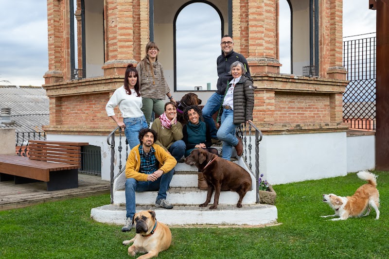 Uetus Centre Veterinari