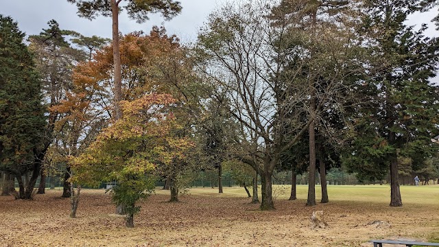 Minami Tsukuba Golf Course - Photo 9