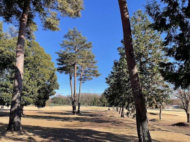 Minami Tsukuba Golf Course - Photo 10