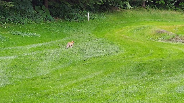 Great Sapporo Country Club - Photo 10