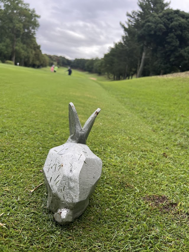 Elieairu Golf Club (Kagawa) - Photo 4