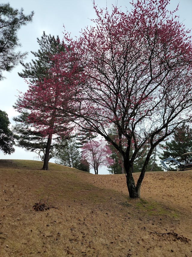 Elieairu Golf Club (Kagawa) - Photo 9