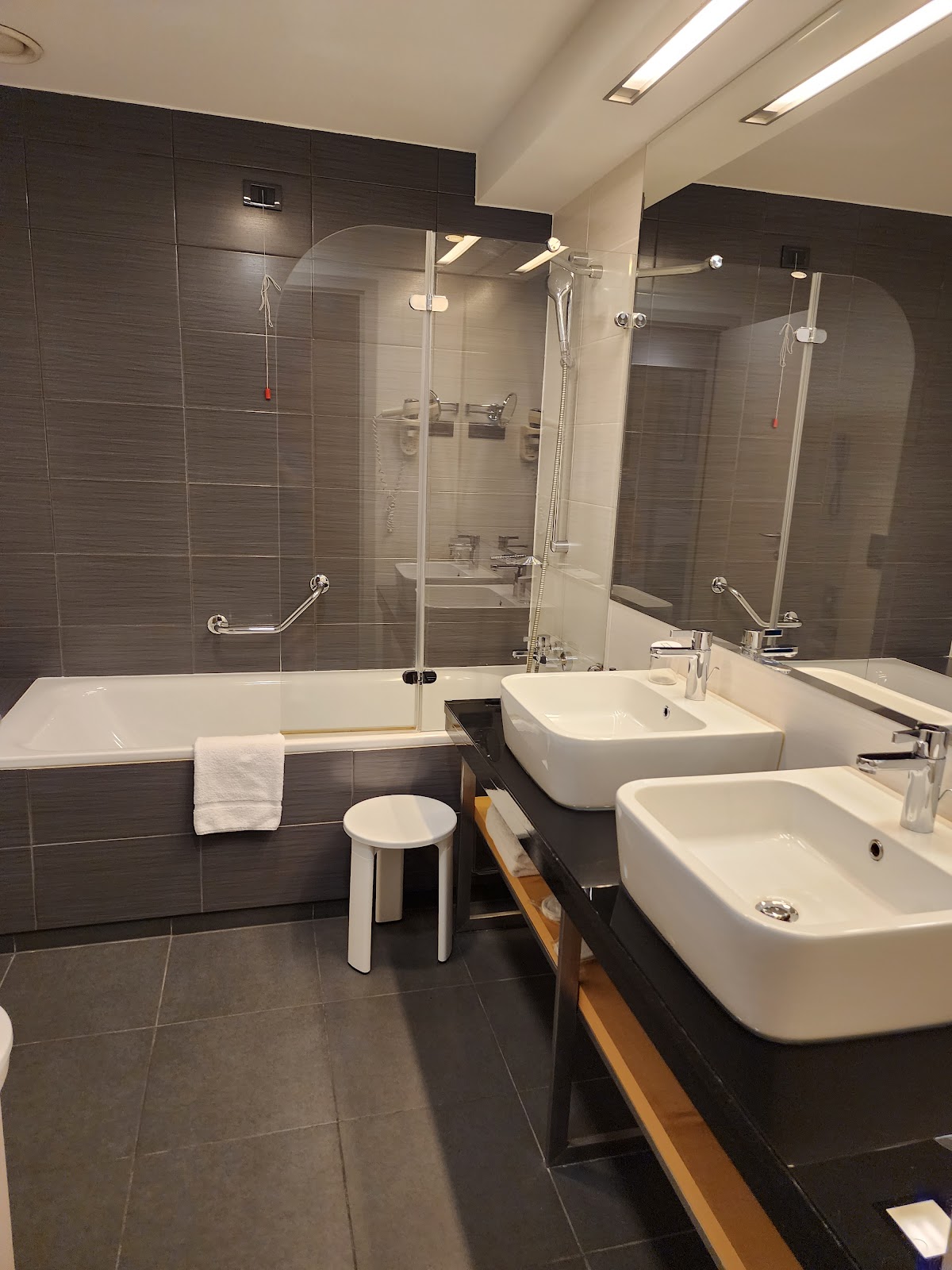 Hotel Atrium Split, dog-friendly hotel, photo 4