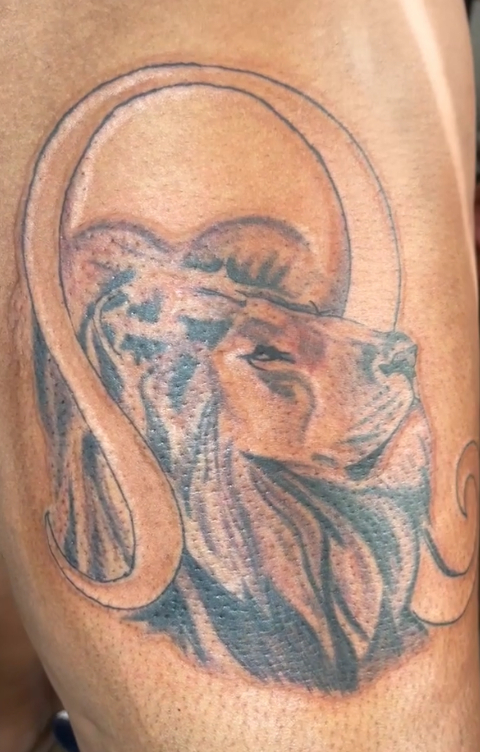 CanCundidit tattoo parlor in Florissant, MO