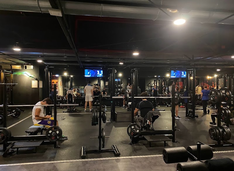 Palestra McFIT Bologna Mazzini
