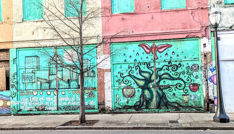 Mo' Bay Beignet Co. photo 1