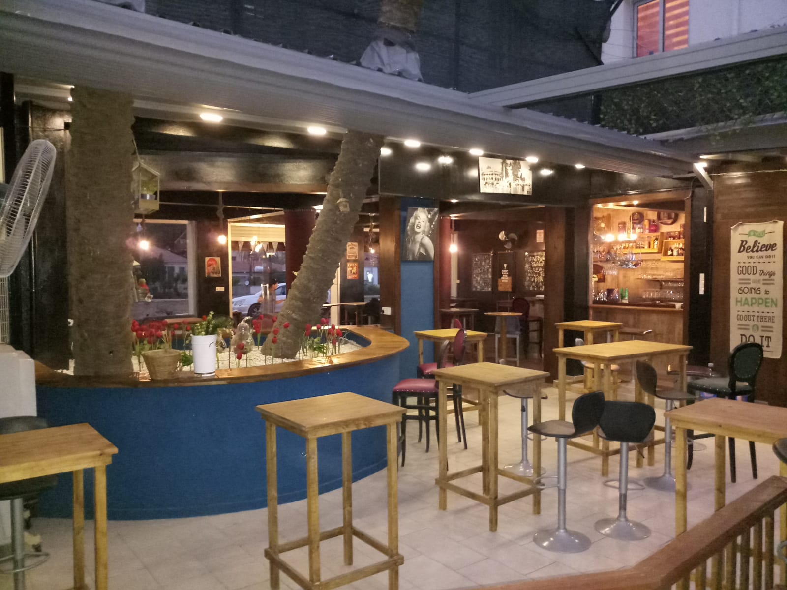 Delfino Cafe Bar mekanı