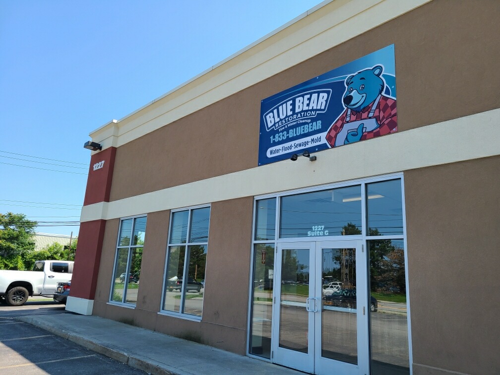 Blue Bear Restoration, Inc. — photo
