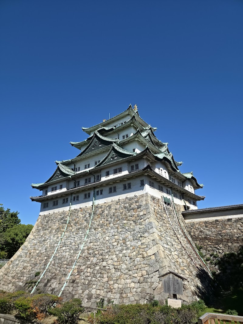 Nagoya Castle photo