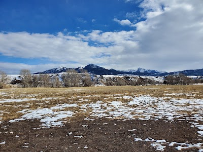 Moja Campbell Dog Park