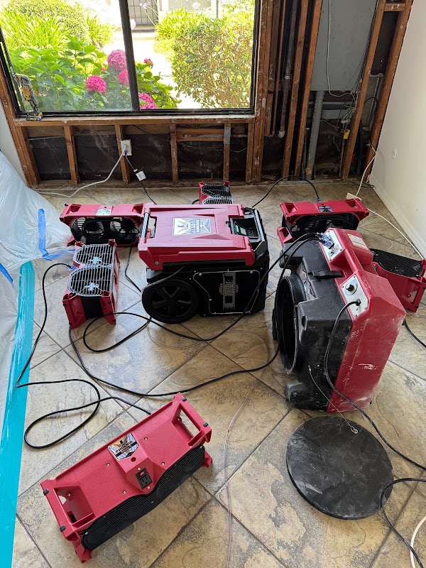 Revive Restoration — photo