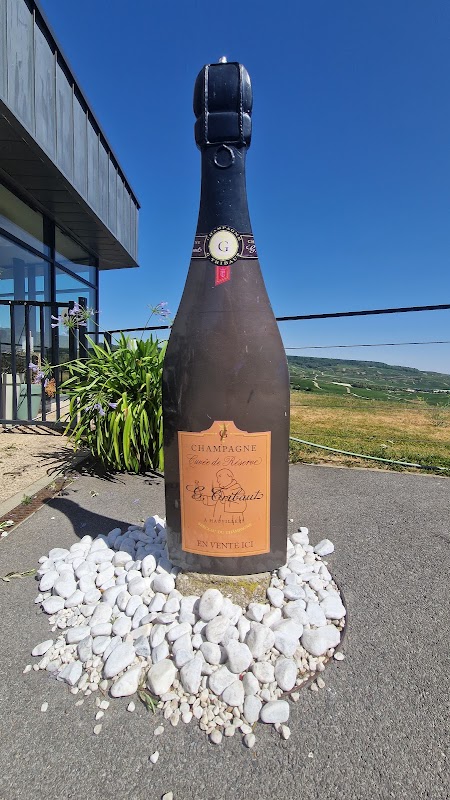 Champagne G.Tribaut à Hautvillers