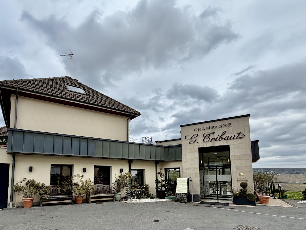 Champagne G.Tribaut à Hautvillers