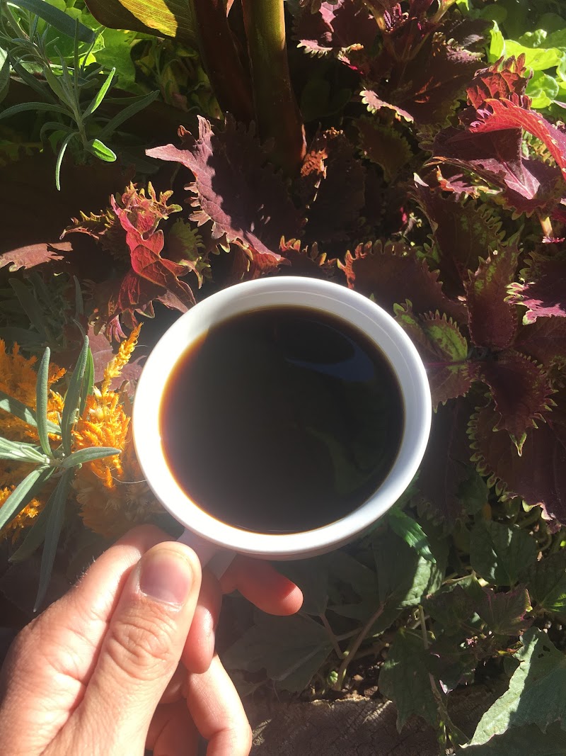 Coal Creek Coffee Downtown photo 2