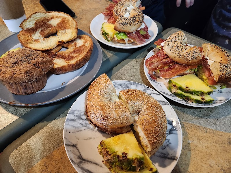 Professor Java's Coffee Sanctuary photo 2