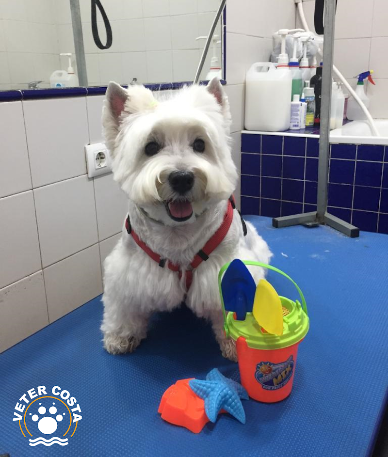 Centro Veterinario Vetercosta